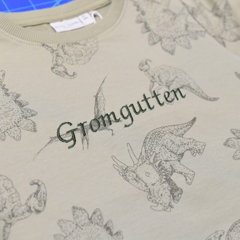 NameIt dinosaur joggedress med navn - Bilde 13