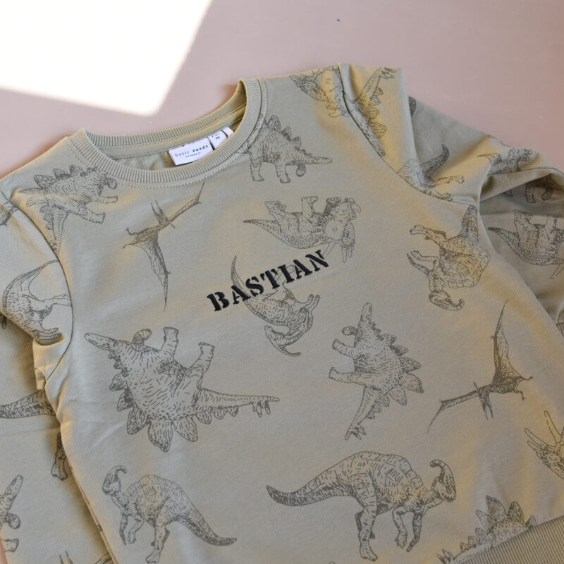 NameIt dinosaur joggedress med navn - Bilde 7